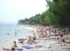 thumb_1007_1.jpg