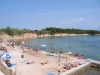 thumb_1171_5.jpg