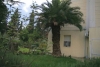 thumb_1208_4.jpg
