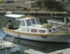 thumb_297_7.jpg