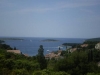 thumb_924_2.jpg